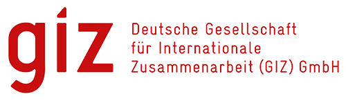 GIZ GmbH